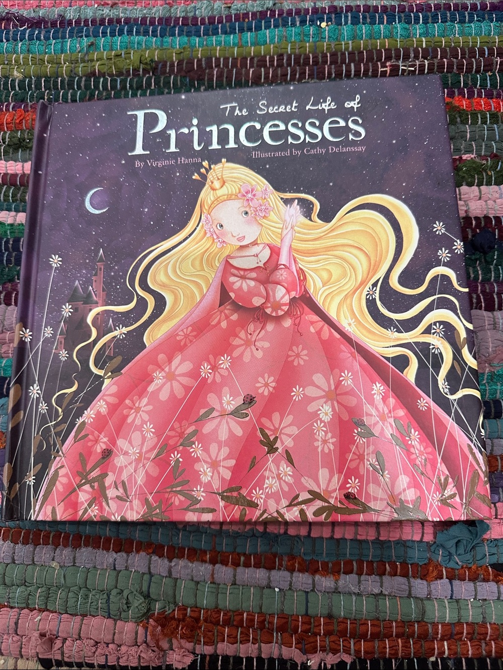 The Secret Life of Princesses Lift the Flap book